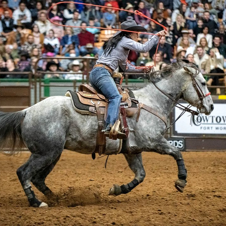 MuleAlley's tweet photo. Join us for Spring Breakaway
🐂Thursdays | PBR Stockyards Showcase
🏇Every Fri & Sat | Stockyards Championship Rodeos
🌈March 17 | Luck O' the Stockyards
🍻March 17-18 | Yuengling Party on the Lawn
🍀March 18 | Cowtown Goes Green
#CowtownGoesGreen #SpringBreakaway https://t.co/HslgIVQVx5