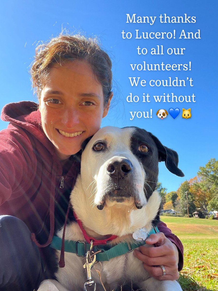 lostdogrescue's tweet photo. 🙌 Volunteer Spotlight 🙌
Read Lucero's story! (in the photos)
Become a #volunteer 🐶🐱
https://t.co/PdbrwPBwfk
#feelgoodthursday #volunteerspotlight #donate #giveback #community #nonprofit #makeadifference #availableforadoption #adoptdontshop #dmvcats #dmvdogs #thankyou https://t.co/cNrqGB9fUU
