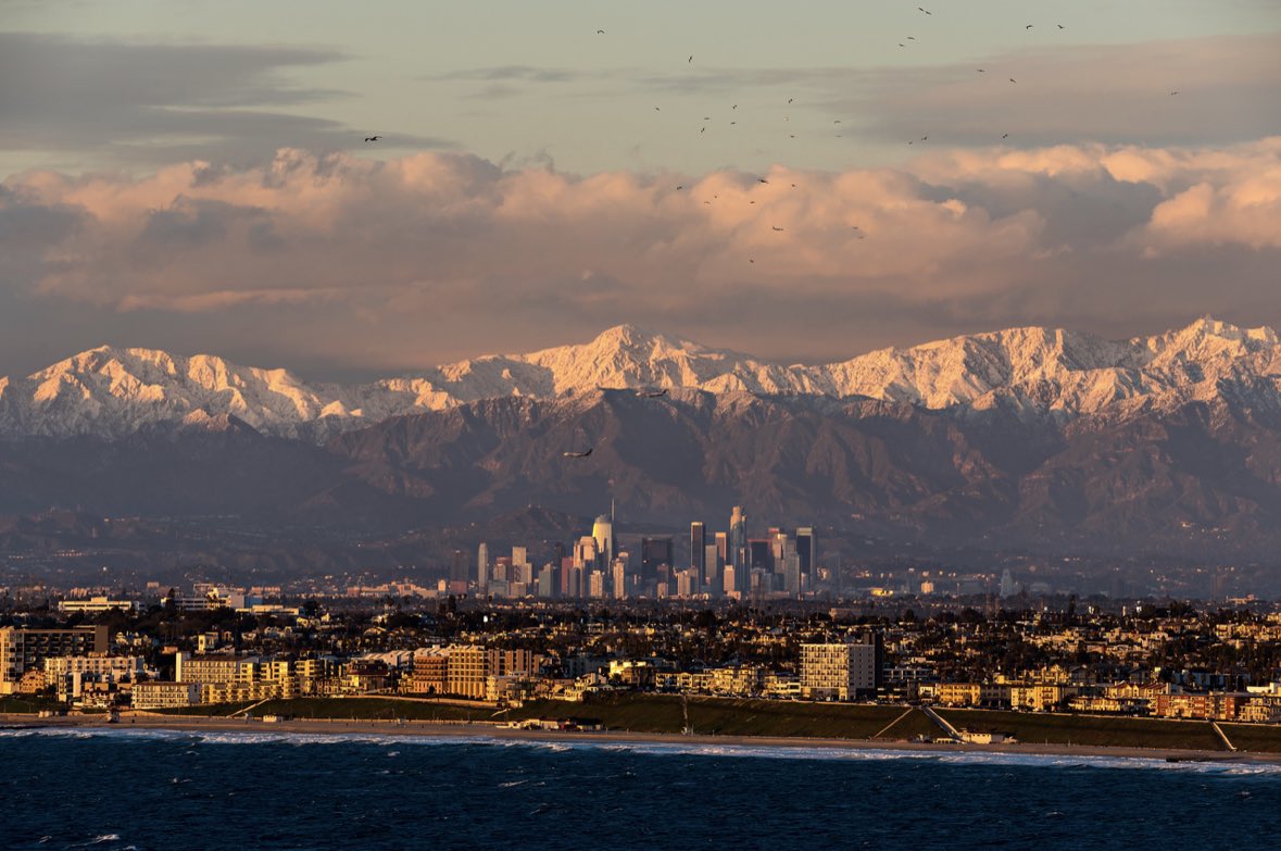 Brandon Yoshizawa tweet media