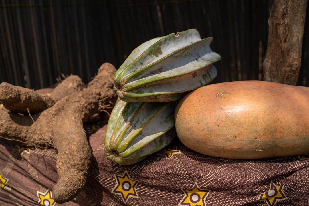 The objectives of the fair are to ensure strength the dynamic of west Africa in general and Benin in particular. To understand and promote GMOs , new developments and changes in the field.  #SeedSovereignty #SeedIsPower