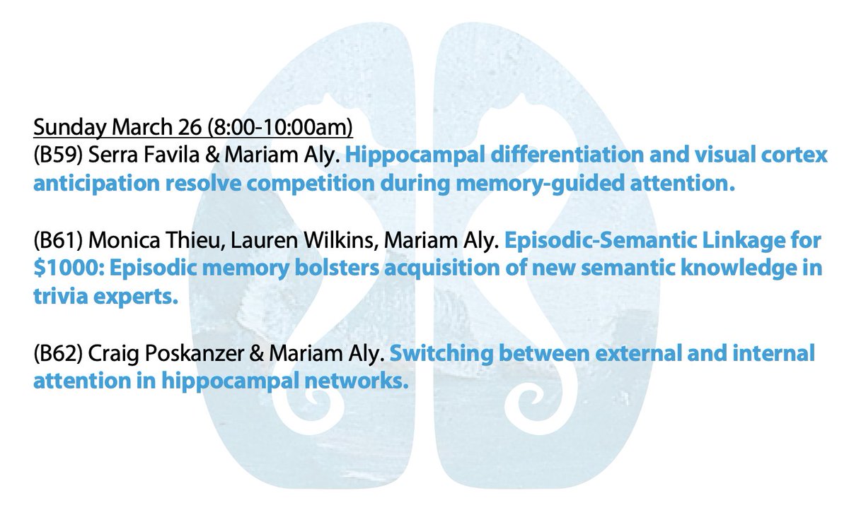 Mariam Aly tweet media