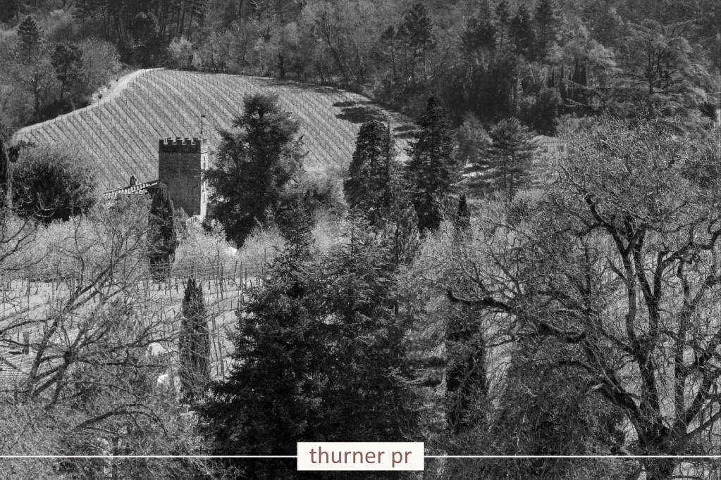 ThinkThurner tweet media