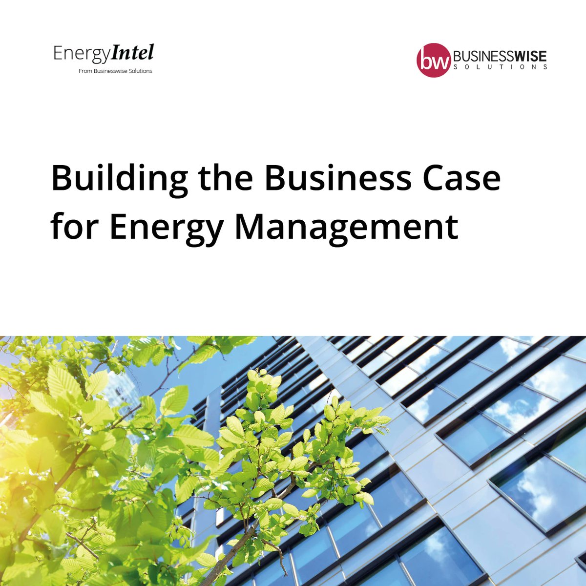 Businesswise Solutions tweet media