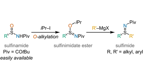 #AsymmetricSynthesis of Chiral Sulfimides through the O-Alkylation of Enantioenriched Sulfinamides and Addition of Carbon Nucleophiles (Kano) <a href="/TUAT_EN/">TUAT</a> onlinelibrary.wiley.com/doi/10.1002/an…