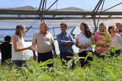 Agro y algo más tweet media