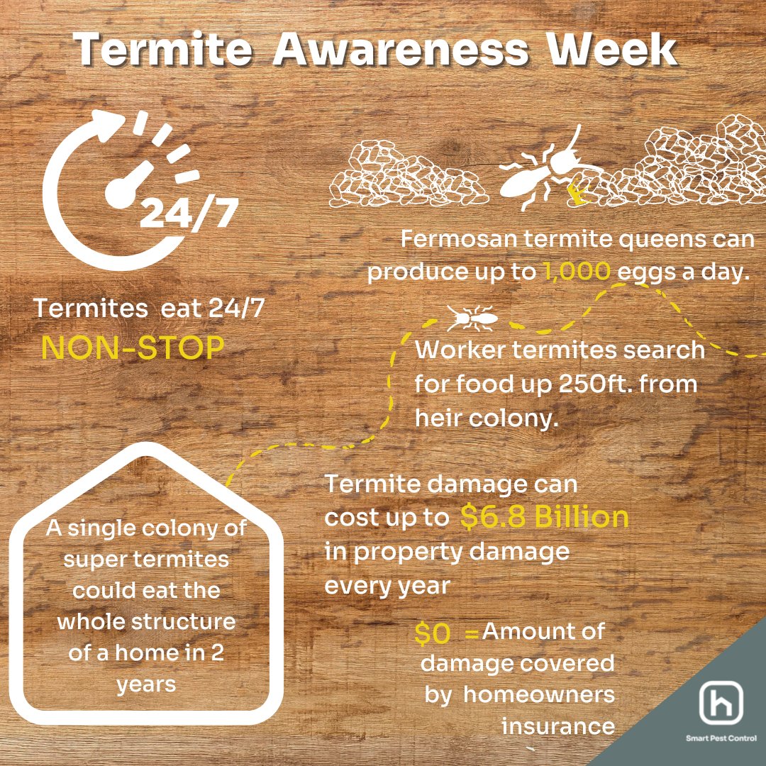 When it comes to home protection, no one thinks twice about having detectors, fences, alarms, and cameras. Pest control is no different, and providing a barrier of protection against termites is just one more way Hawx helps our customers protect their homes. #TermiteAwarenessWeek