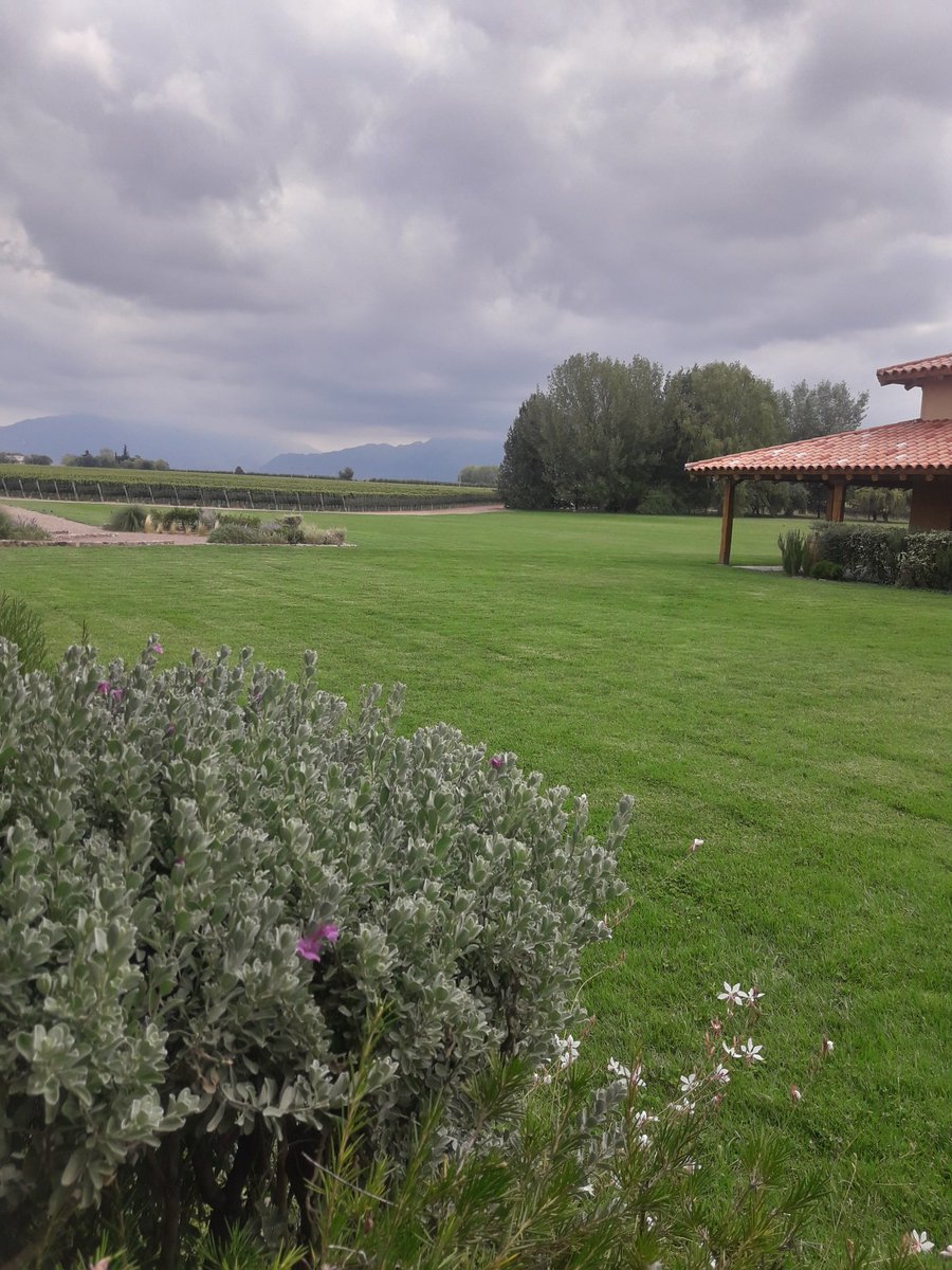 Llegando <a href="/FincaDecero/">Finca Decero</a>