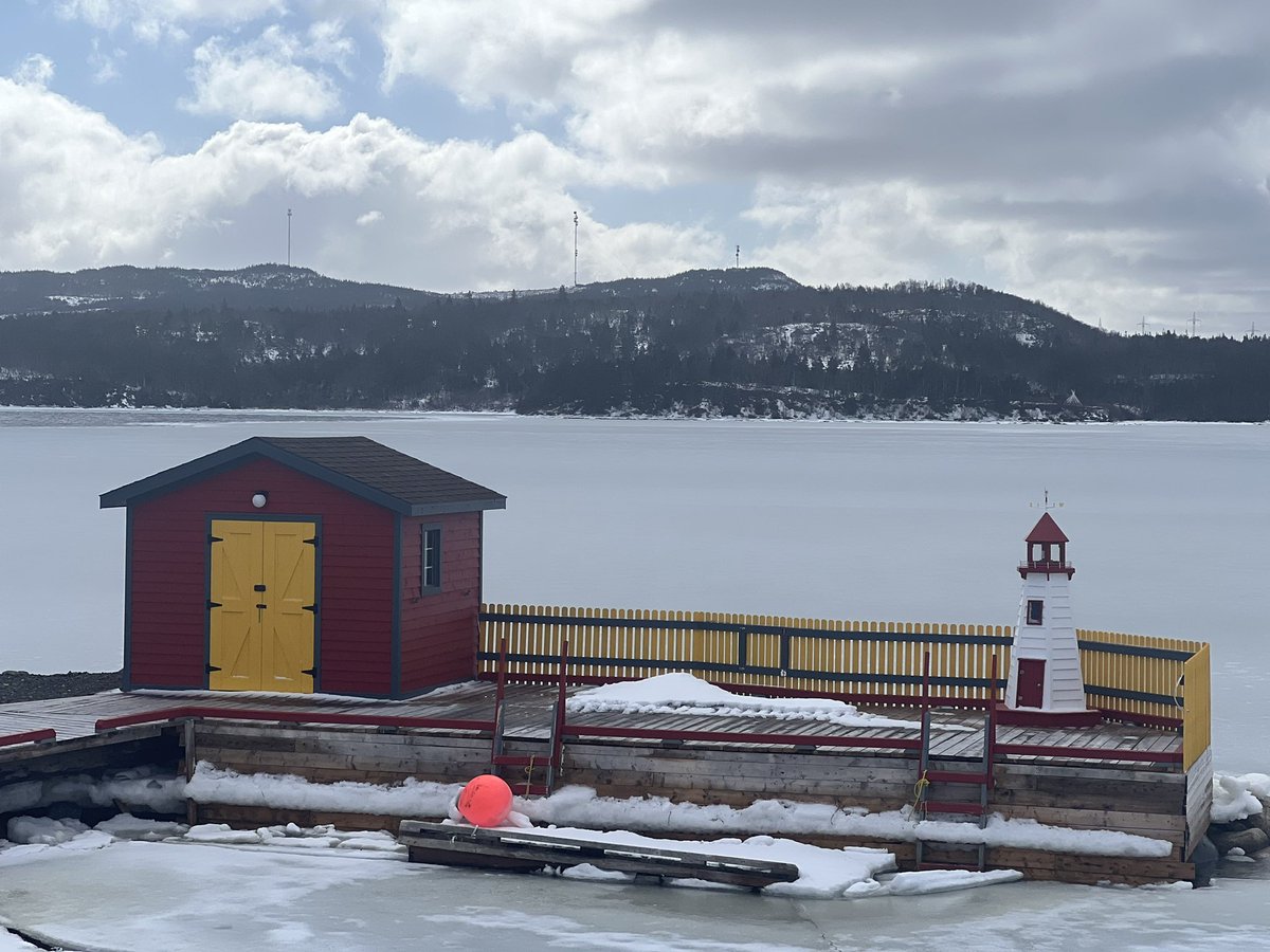 woodyi05's tweet photo. @EddieSheerr  sunnyside NL taken Mar 9/23 https://t.co/htNUksLFB4