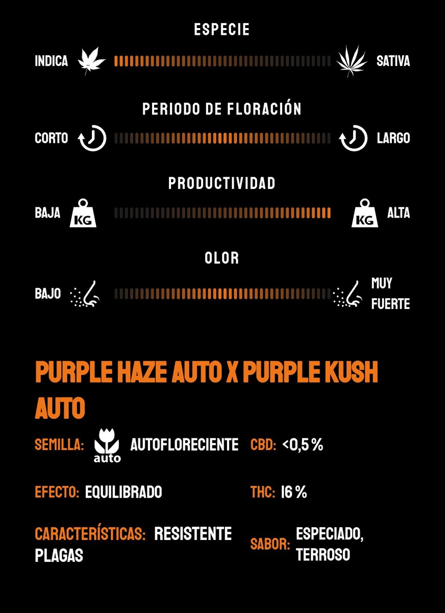 KannabiaSeeds's tweet image. La #autofloreciente #PurpleDream 💜 de #KannabiaSeeds 🌱 es una joya en cualquier colección de semillas que se precie. Coqueta, rica en colores morados, es perfecta para una primera vez pues prospera con facilidad y se adapta a cualquier espacio con recato
kannabia.com/es/semillas-ma…