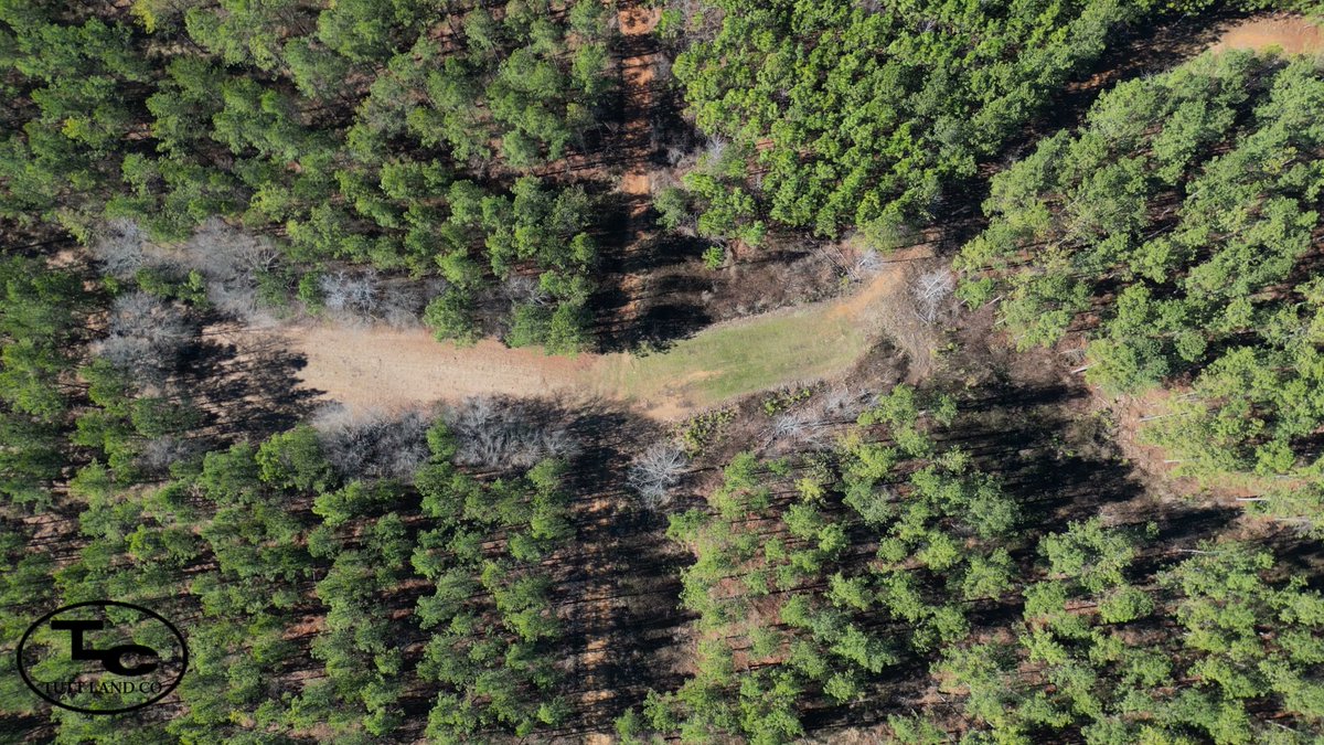 150 Acres - Shelby County, AL - $1,290,000
BJ Davis 205-369-4258
Located in Chelsea, AL.
buff.ly/3FhwDnx 

#forsaleinalabama #landforsale #ShelbyCountyAL #tuttlandco #trustedlandprofessionals