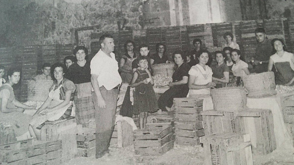 Sanguango1977's tweet photo. Tots els dies són el dia de la dona:
Colles de dones treballant alls dins de l'esglèsia del monestir de Santa Maria de Valldigna, a Simat.
#Simat
#laValldigna
#laSafor https://t.co/BWsb63HKiN