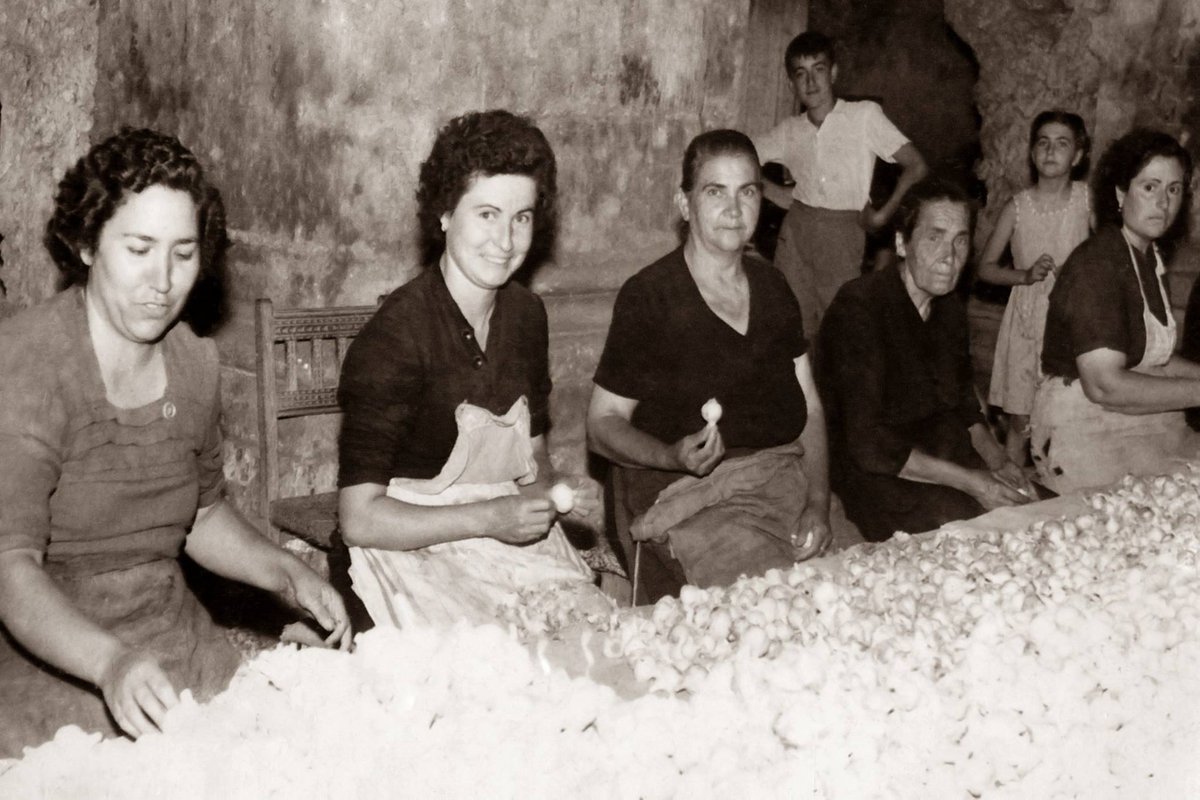 Sanguango1977's tweet photo. Tots els dies són el dia de la dona:
Colles de dones treballant alls dins de l'esglèsia del monestir de Santa Maria de Valldigna, a Simat.
#Simat
#laValldigna
#laSafor https://t.co/BWsb63HKiN