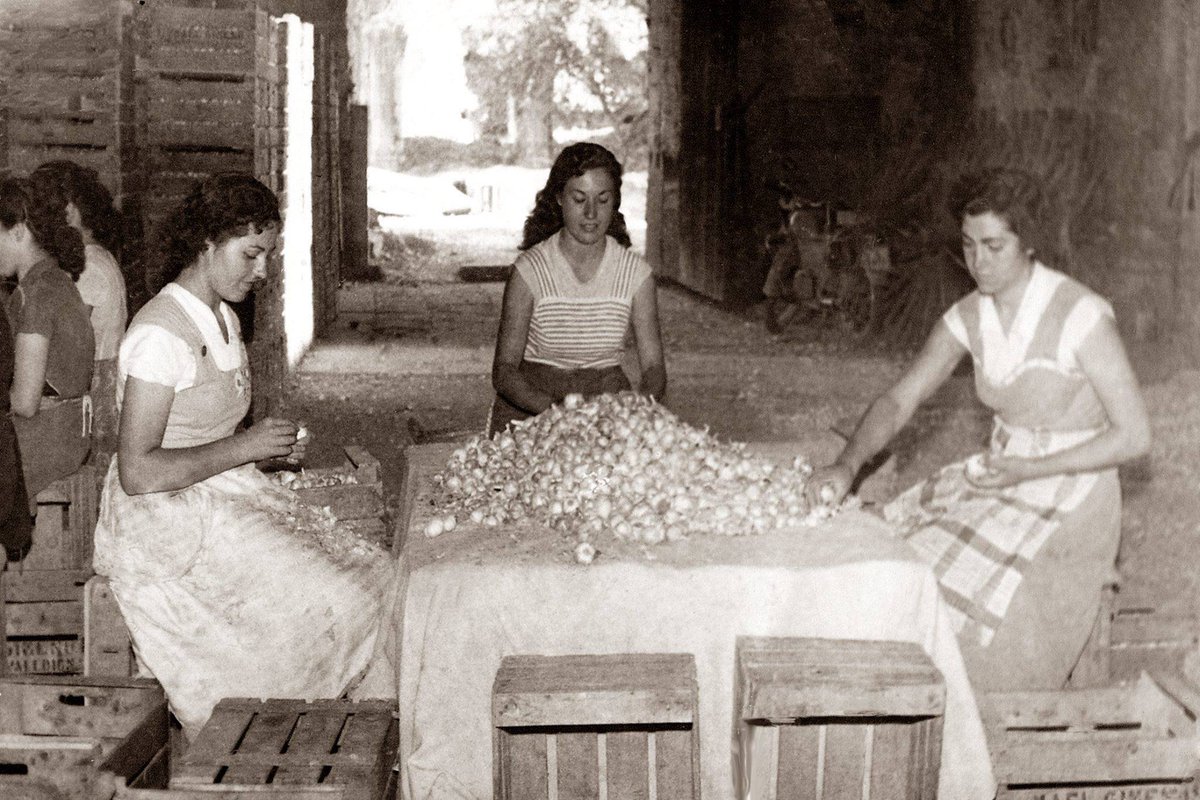Sanguango1977's tweet photo. Tots els dies són el dia de la dona:
Colles de dones treballant alls dins de l'esglèsia del monestir de Santa Maria de Valldigna, a Simat.
#Simat
#laValldigna
#laSafor https://t.co/BWsb63HKiN