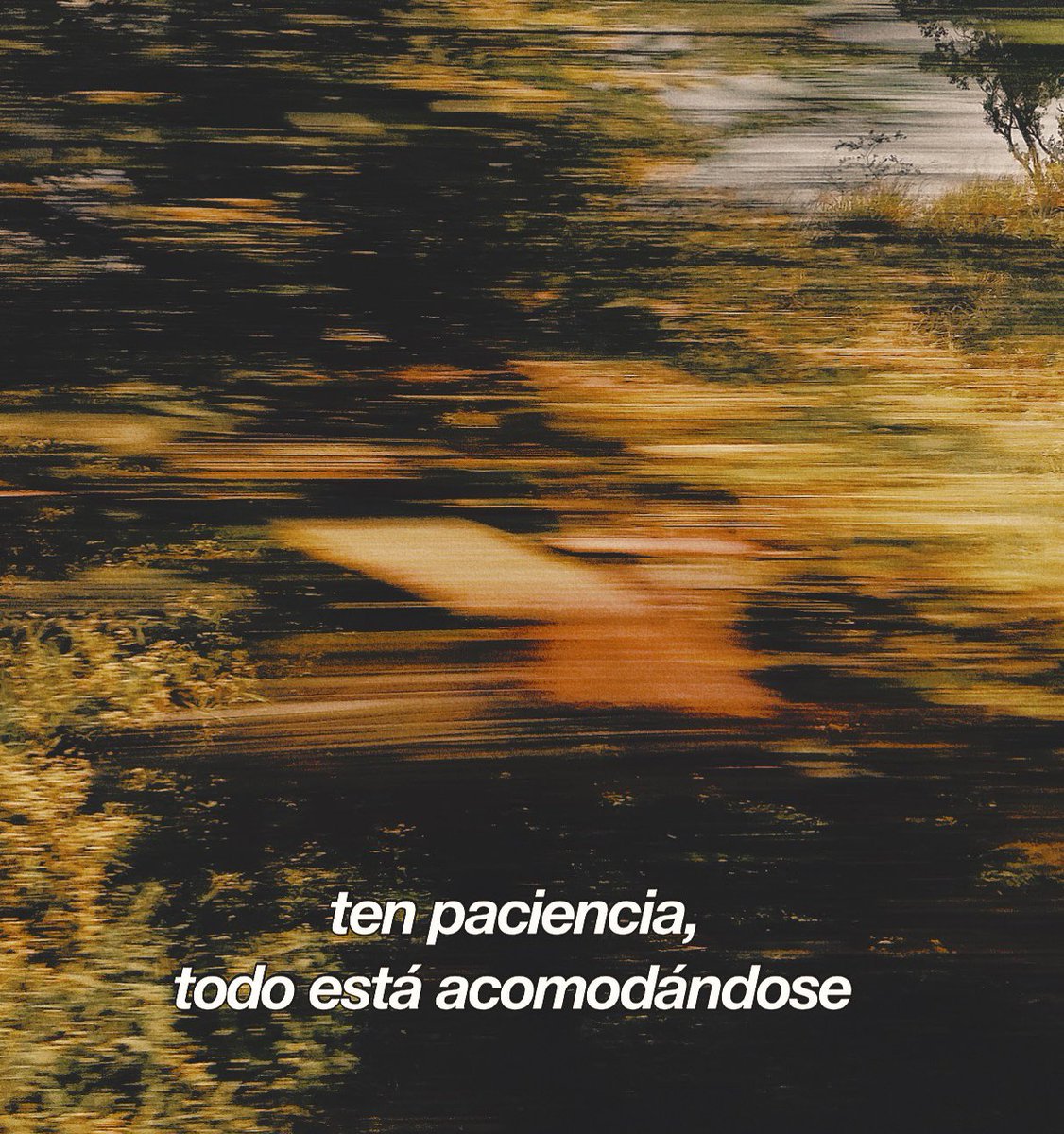 nación (@escritosnacion) on Twitter photo 