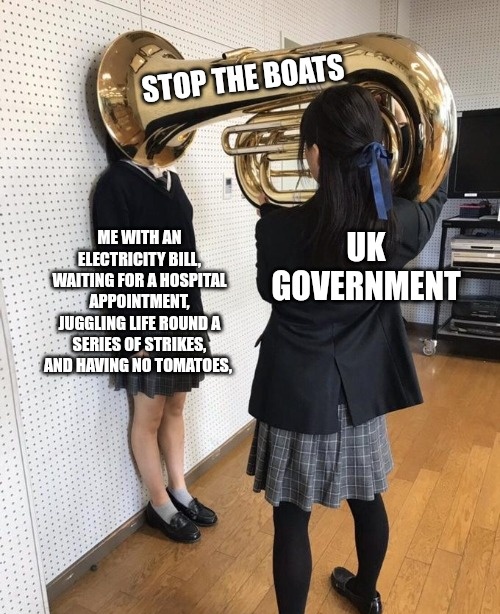 Colin the Dachshund (@dachshundcolin) on Twitter photo 