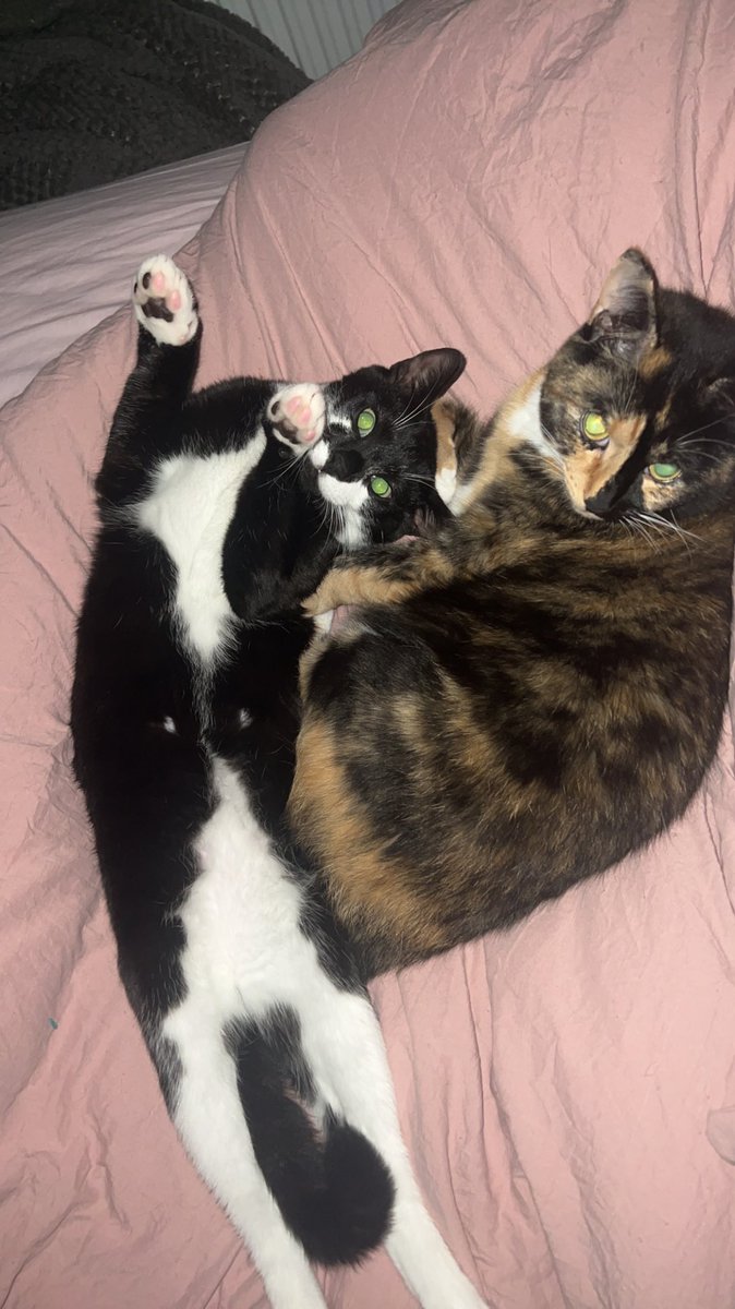 Always time for a cuddle