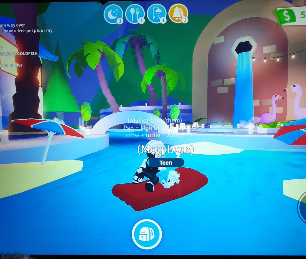 TheRuby_wzi's tweet image. A day of fun at the new pool, think Morpheus enjoyed it. Now napping on the float too. Such a beautiful area day and night! &amp;lt;3 @PlayAdoptMe #adoptme #adoptmeupdate #adoptmepets #adoptmeroblox