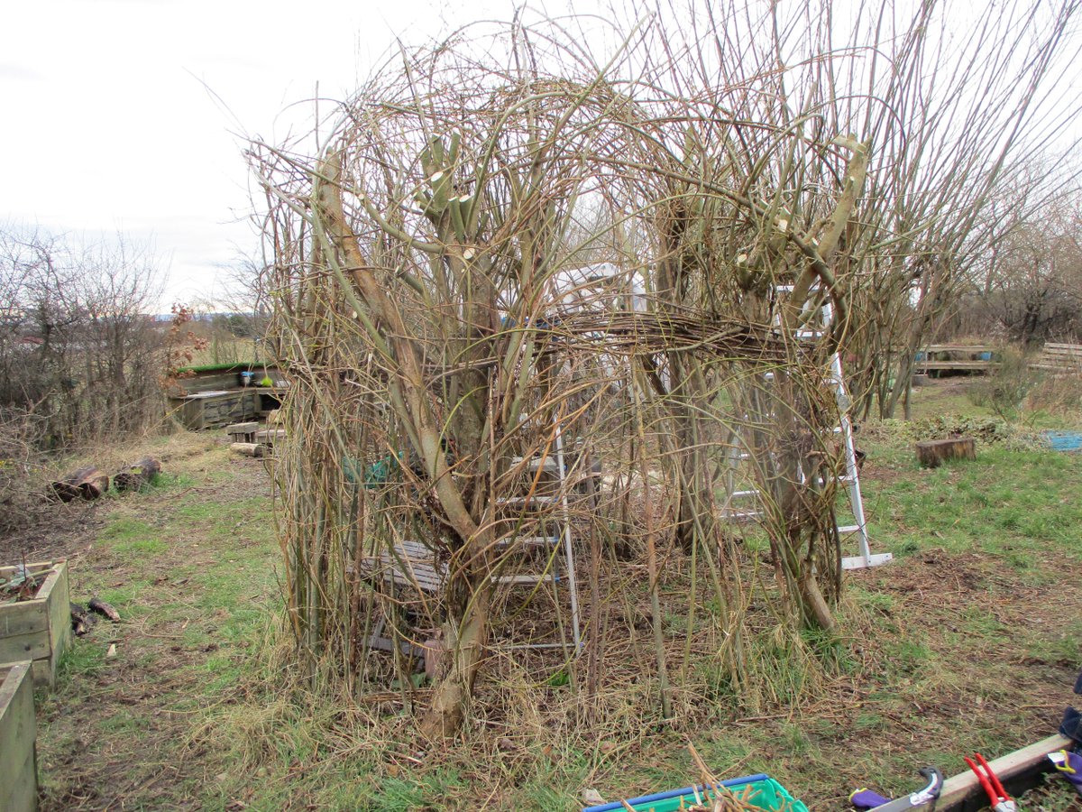 We'll be revamping our children's garden on Saturday 18th March. 

Come along between 11am-2pm if you fancy giving us a hand... we'll be refreshing the mud kitchen, weaving more willow around the dome and getting the area ready for lots of play over the summer.
All ages welcome!