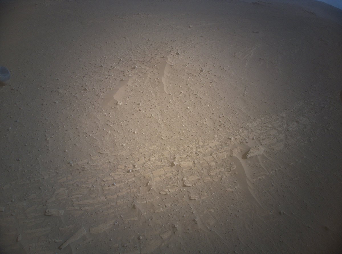 NASA's Perseverance Mars Rover on Twitter: