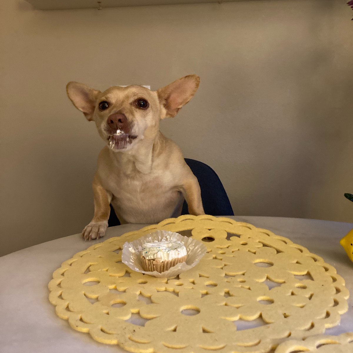 Patrick Collins tweet media