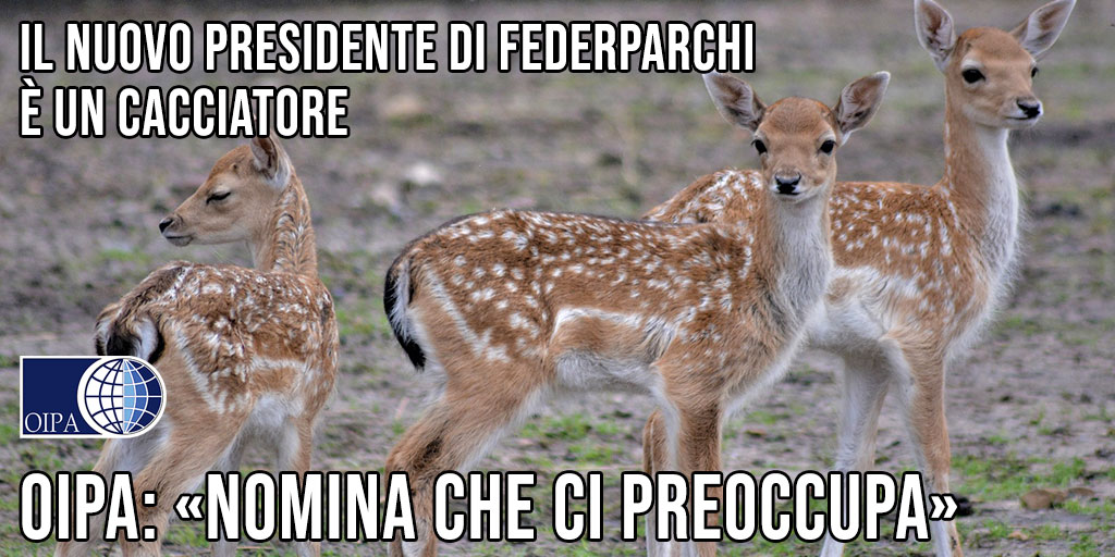 Il nuovo presidente di Federparchi è un cacciatore. OIPA : «Nomina che ci preoccupa» 👉oipa.org/italia/il-nuov…