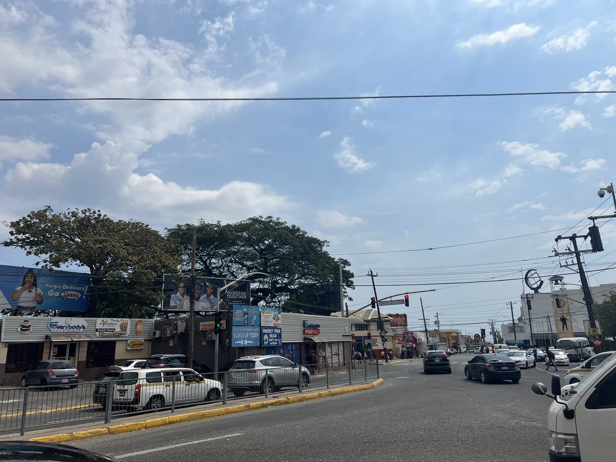bujsha's tweet image. Is the Guango tree across from the Cross Roads post office on borrowed time too? 

Pics dated 48yrs apart: 1975-2023

We need a tree preservation order to protect this #legacytree
@nepajamaica @ksamcorp @jamentrust @matthewsamuda @ForestryDeptJa @islandcitylab @CitizensRightJA