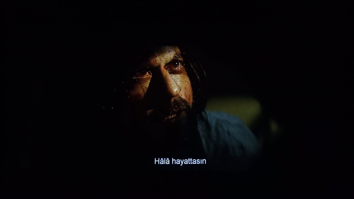 darkparadise283's tweet photo. Yıllar önce Shahrukh filmine gitmek için hayal kurmuştum, bugün bir hayalim ilk defa gerçek oldu. O kadar mutluyum ki. Sinema da çılgınca dans ettim, oynadım. Hayatımda en keyif aldığım anlardan biriydi. İyi ki Shahrukh'u tanıdım, iyi ki onun fanı oldum. Her şey için teşekkürler https://t.co/6Rb0adecYY
