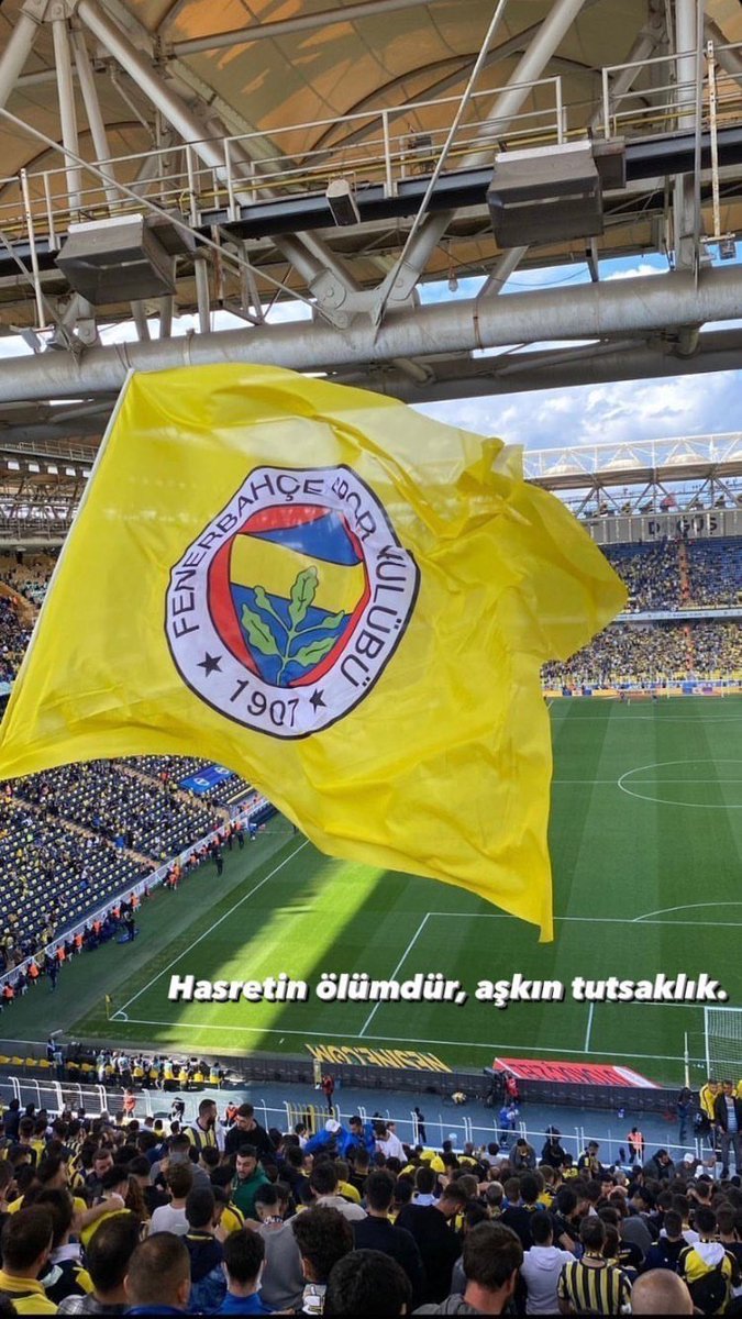 Vır kır parçala bizim için Saldır Kanarya 💛💙

#fenerbahcesevilla