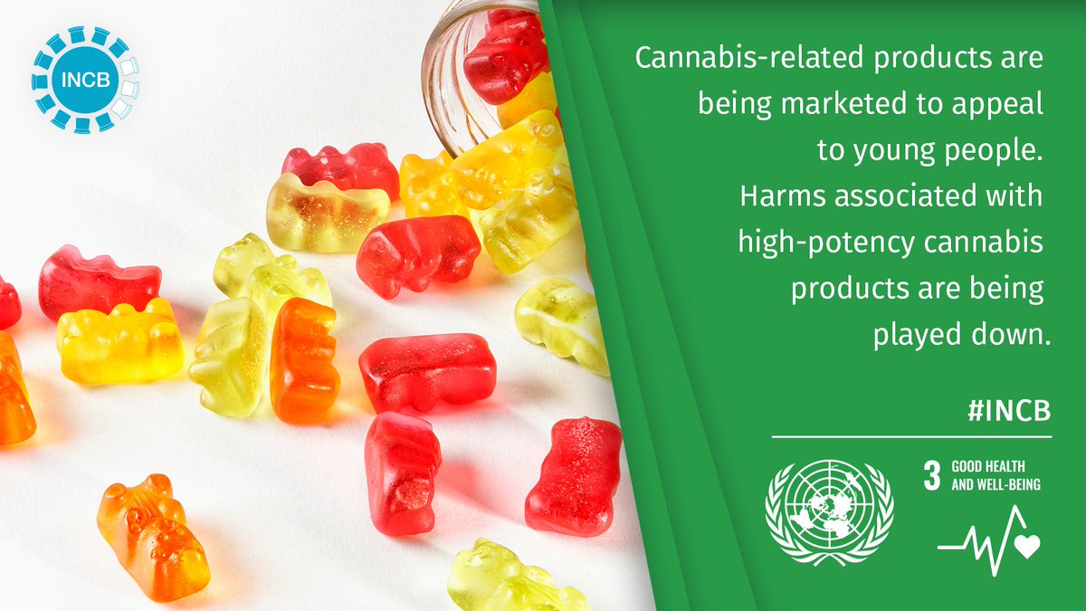 UN's tweet photo. The legalization of non-medical use of cannabis has resulted in increased use, without proper efforts to help users understand the serious health risks associated with the drug.

Latest from the International Narcotics Control Board: https://t.co/CAa3hRkwll #INCB https://t.co/t93pAKEiiE