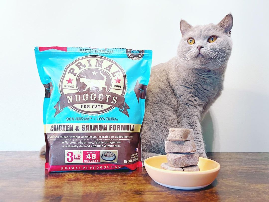 A nugget of wisdom 😌 Feline Frozen Raw Nuggets are a simple way to provide raw nutrition to your obligate carnivore. 
📸: tombocatbsh
#happyfelines #cutestmeowdel