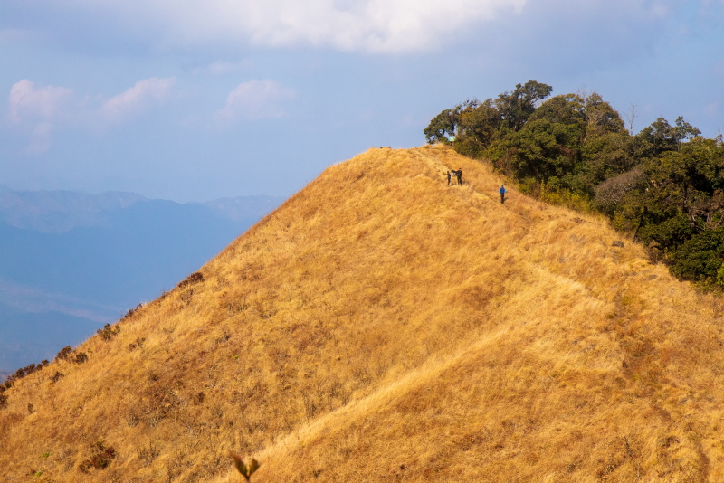 subhadeep_doc's tweet photo. Ukhrul, an offbeat hill station in Manipur in India. The place is so beautiful, yet unexplored. I visited Ukhrul recently, and here is my blog on Ukhrul that will help you to plan your trip.

Read more: https://t.co/d4WtQTNgME

@incredibleindia @Manipur_Tourism  #mytravelframes https://t.co/Fu00dqpju3