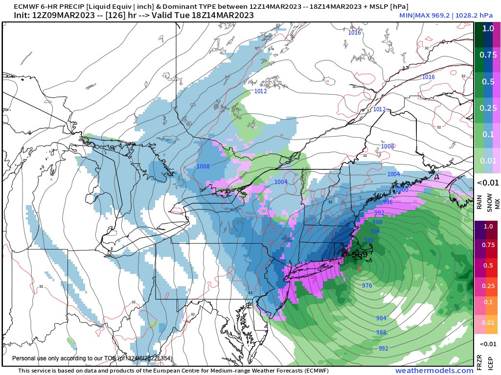 Western Mass Weather tweet media