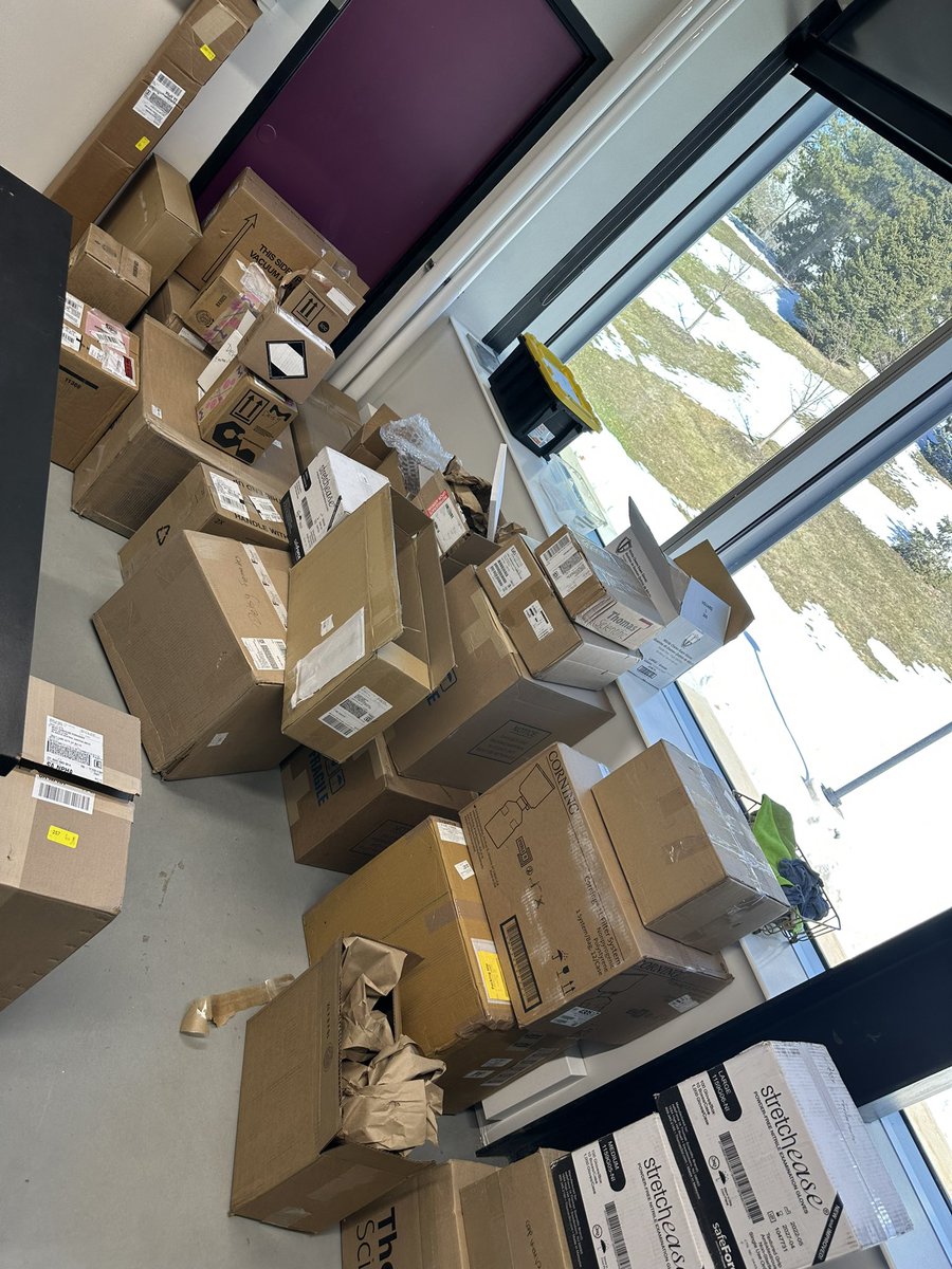 Deisy Cristina Carvalho Fernandes tweet media