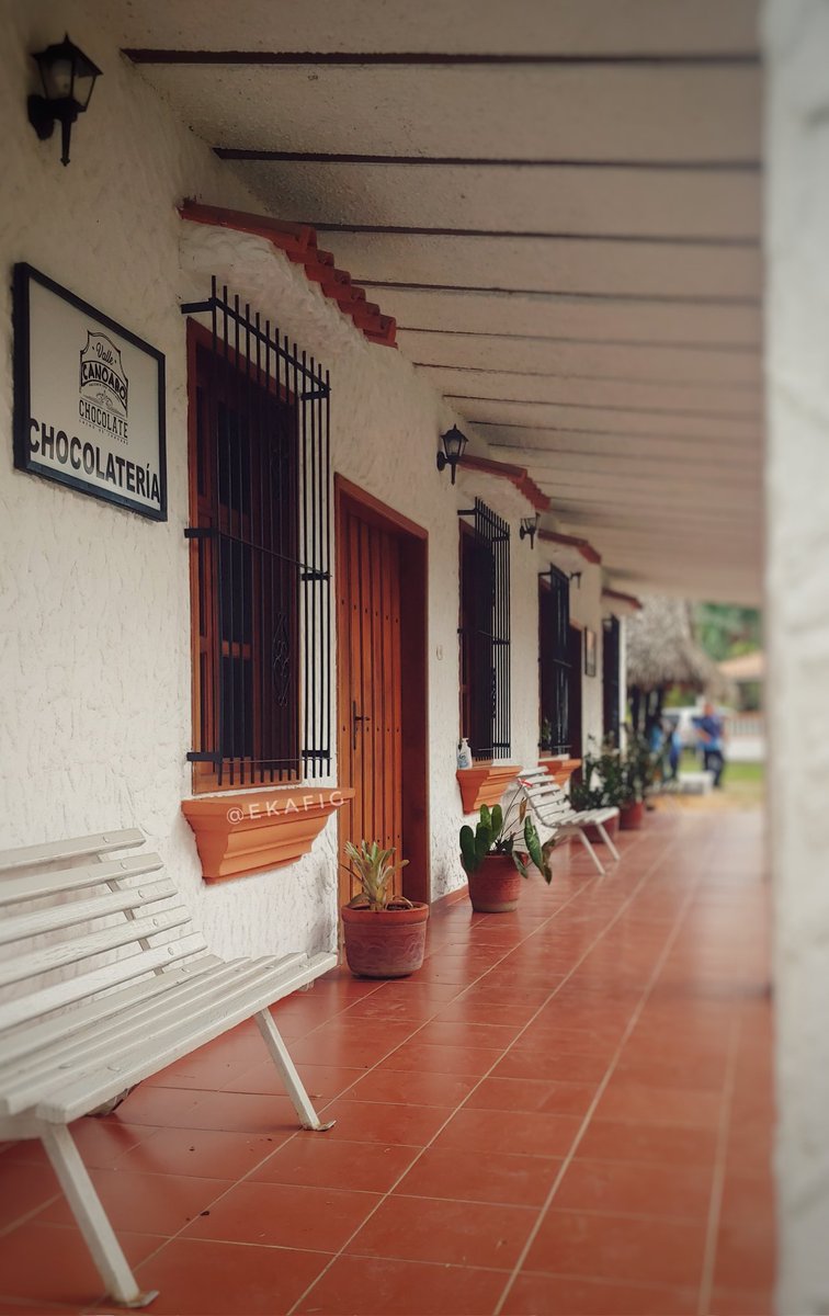 Rebeca Figueredo tweet media