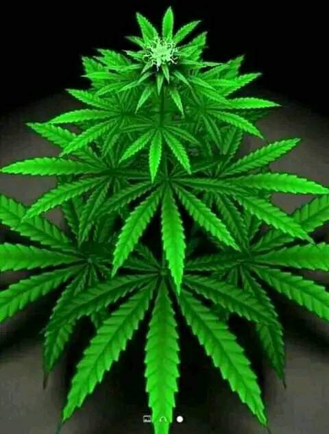 Sadam Popa (@popasadam) on Twitter photo 