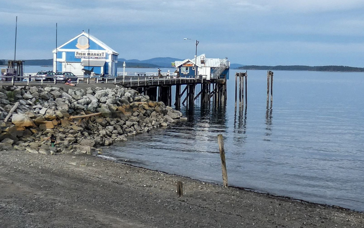 For today's #ThrowbackThursday we're sharing two photos of the exact same spot - Sidney's waterfront! Taken over 100 years apart, we can see how the area's use has changed with time, thanks to the recent self-guided walking tours courtesy of <a href="/onthisspotblog/">On This Spot</a> 
📷 P2010.3.14