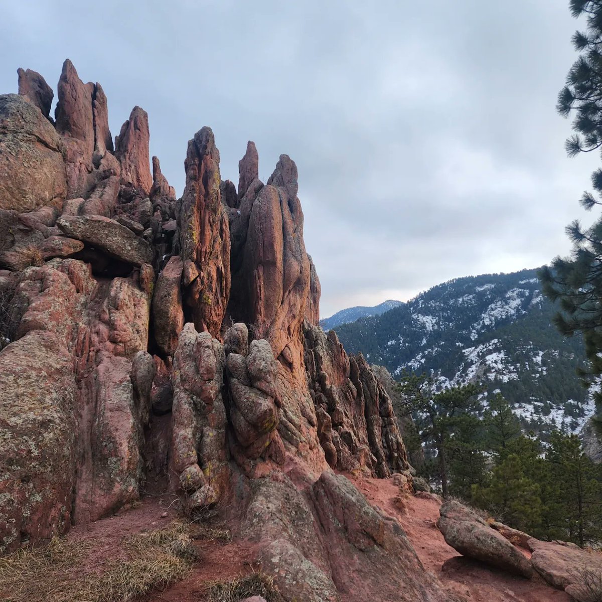 Short but great hike after a hard work day. The view from the #Redrocks trail in #Boulder is all that a geoscientist needs to relax again. Colorado is simply magic! #geology