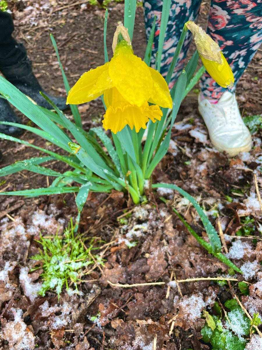 Y1 HighStPrimary tweet media