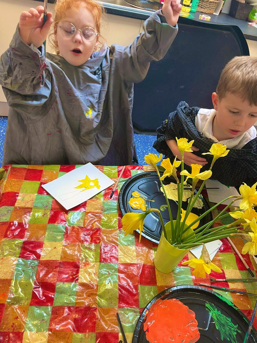 Y1 HighStPrimary tweet media