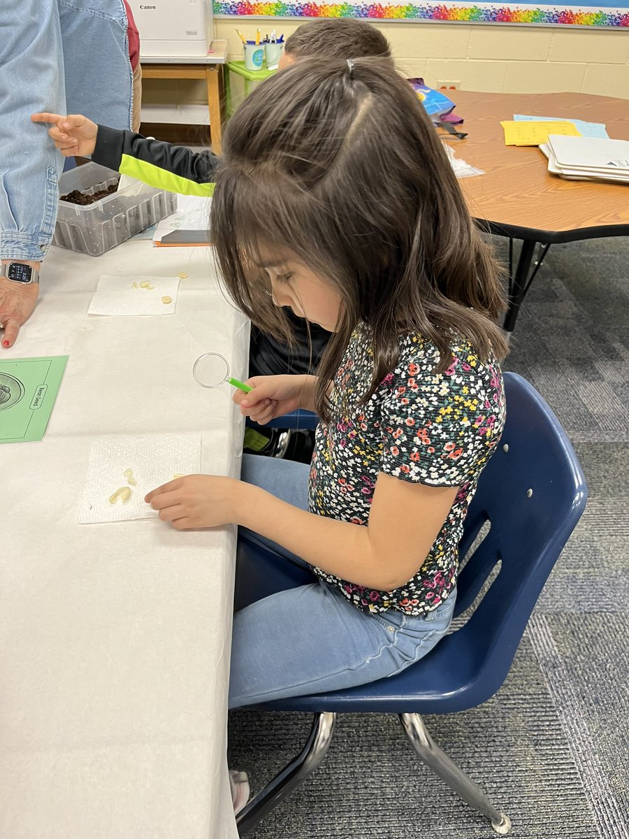 Plant investigation in first grade today! Thank you to the master gardeners who came and shared their knowledge with us!  <a href="/IrvingElementa1/">Irving Elementary USD 259</a> #wpsproud #irvingshines
