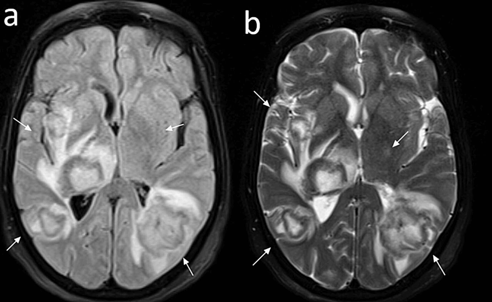 Dr. Brandon Beaber tweet media