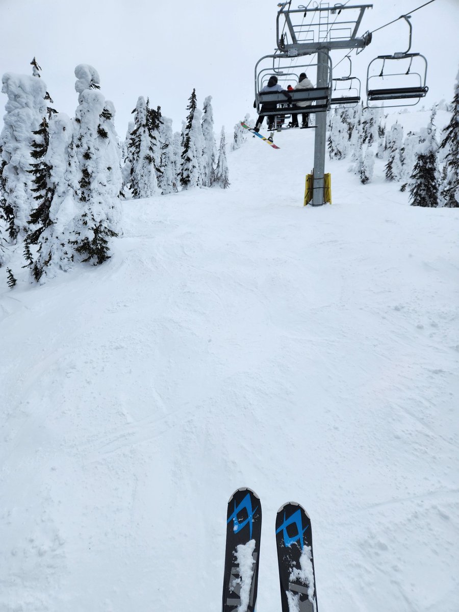 Saw my therapist today...