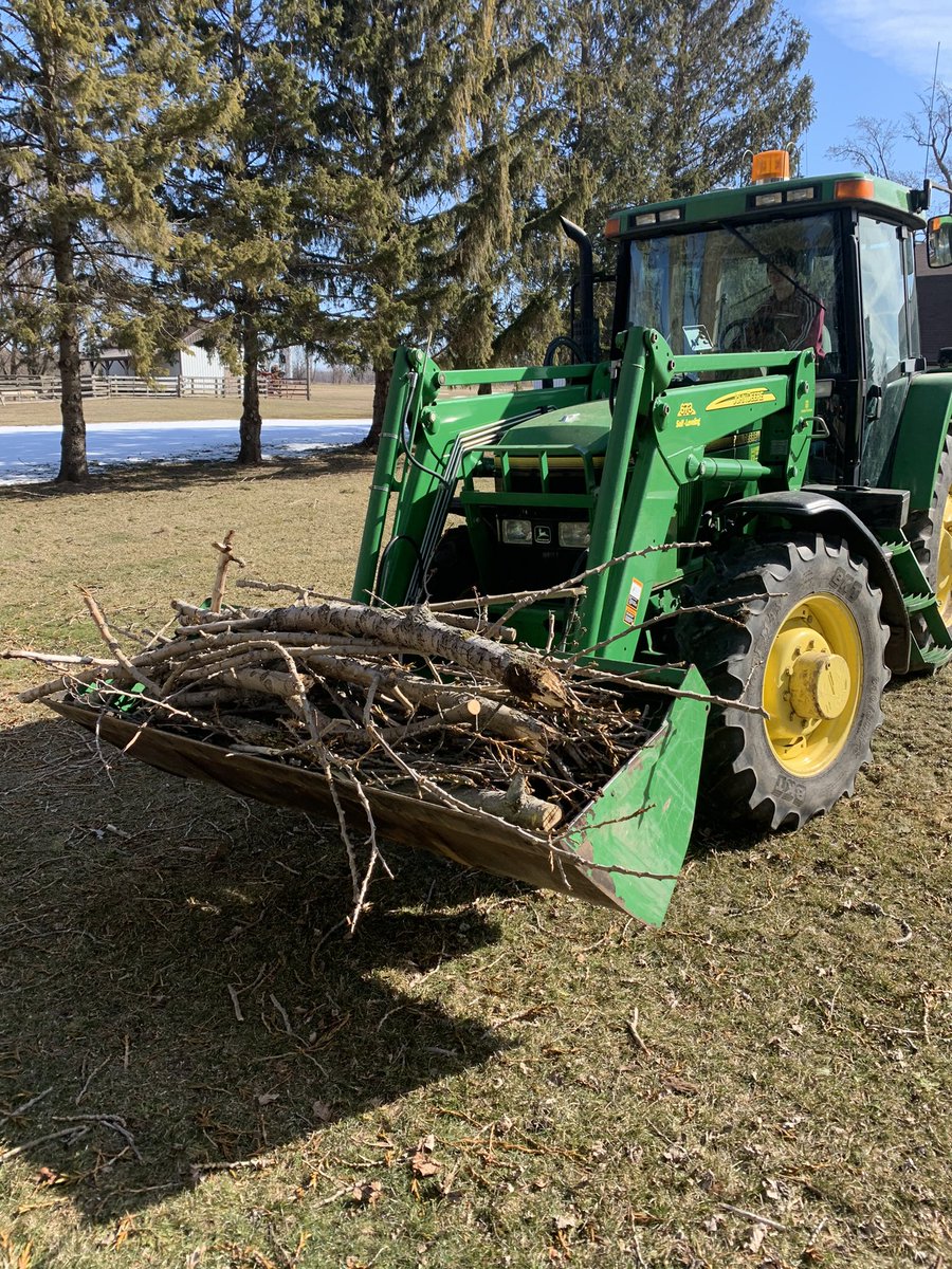 Pasztor79's tweet photo. At least I had a helper today, but my body is starting to get a bit stiff from #icestorm23 cleanup….will have a nice little spring bonfire at some point though. 🤕 https://t.co/1aOJUAYbHH