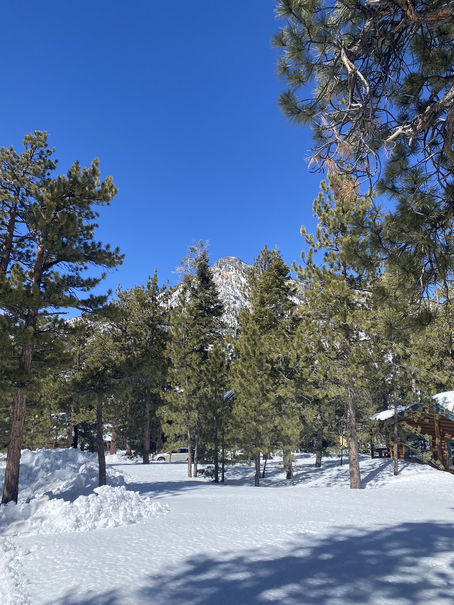 Absolutely gorgeous day in Lee Canyon today. High so far of 43°f. That’s short sleeve weather for mountain folks… feels like spring…. Oh, btw, we are expecting a lot of snow ❄️ tomorrow…. #ThisIsVegas @LeeCanyonLV @BillBellis @just1nbruce