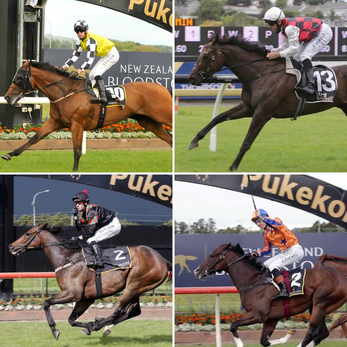 Auckland Thoroughbred Racing (@ellerslie_races) on Twitter photo Great achievement by Rich Hill Stud <a href="/RichHillStud/">Rich Hill Stud</a> to have 3️⃣ of the favourites for the Gr1 New Zealand Bonecrusher Stakes with 3️⃣ different stallions (Proisir, Vadamos, Shocking) and another stallion (Satono Aladdin) having Tokyo Tycoon favourite in the Gr1 Sistema Stakes. 👏 👏 Great achievement by Rich Hill Stud <a href="/RichHillStud/">Rich Hill Stud</a> to have 3️⃣ of the favourites for the Gr1 New Zealand Bonecrusher Stakes with 3️⃣ different stallions (Proisir, Vadamos, Shocking) and another stallion (Satono Aladdin) having Tokyo Tycoon favourite in the Gr1 Sistema Stakes. 👏 👏