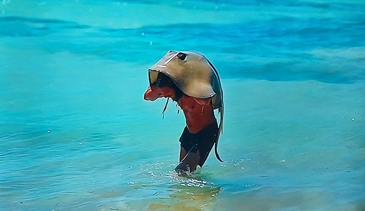 μόνο κοροοοοοοοοοοοοο!!!!!!
Ο πιο γνήσιος survivor της καρδιάς μας!!!
<a href="/GKoromi/">Koro</a> 
#survivorGR