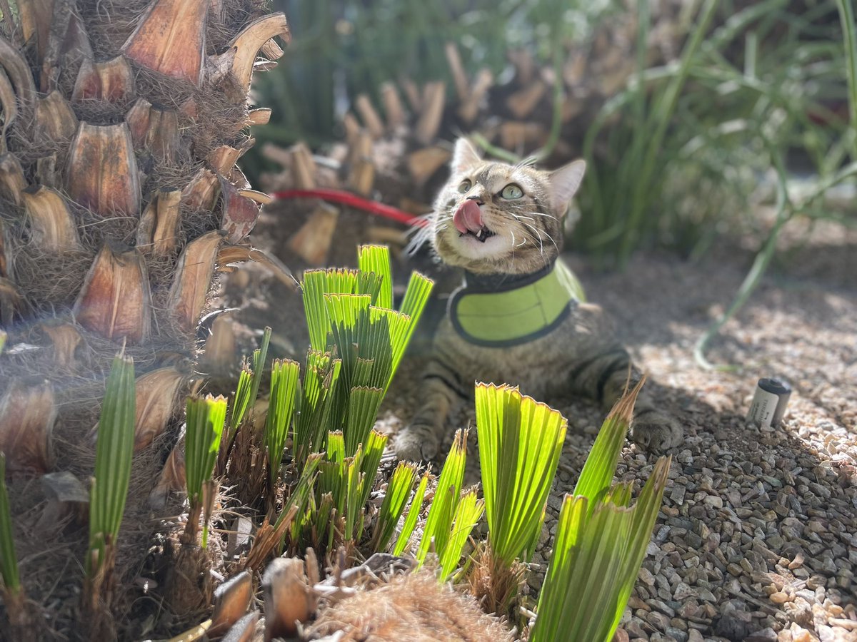 Dr. Laura Woodney tweet media