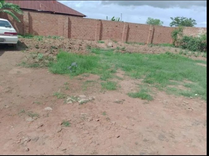 ServiceSammy1's tweet image. Agence immobilière Agréé Sammy service Basé à Lubumbashi haut Katanga RDC📲📲🇨🇩🇨🇩 +243854391017