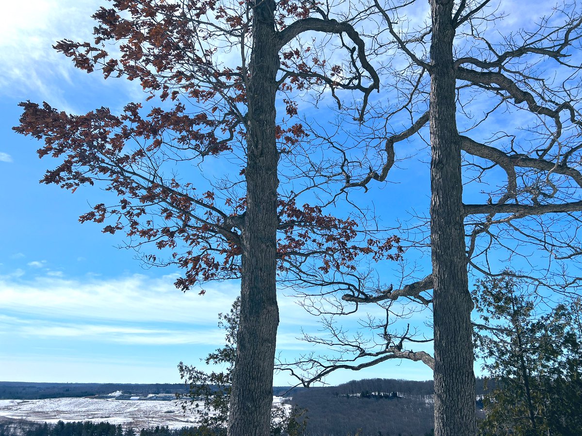 Field trip fun with the grade 1s! ❄️ 🚌 We had a wonderful time visiting Rattlesnake Point Conservation Area where students played cooperative games, went on a hike and created habitats for their “nature name” 🦉 <a href="/RSP_HDSB/">Rattlesnake Point Public School</a>
