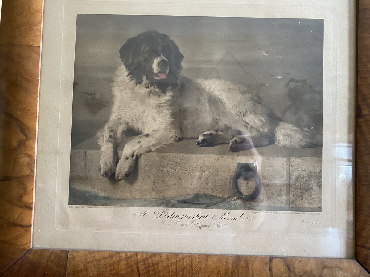 Absolutely thrilled with this find at the #antique mall today! This #Landseer picture was used in many #19thcentury animal advocacy and #HumaneEducation campaigns and I wrote about it in “Art for Animals.” #art #dog #VisualCulture #AnimalHistory